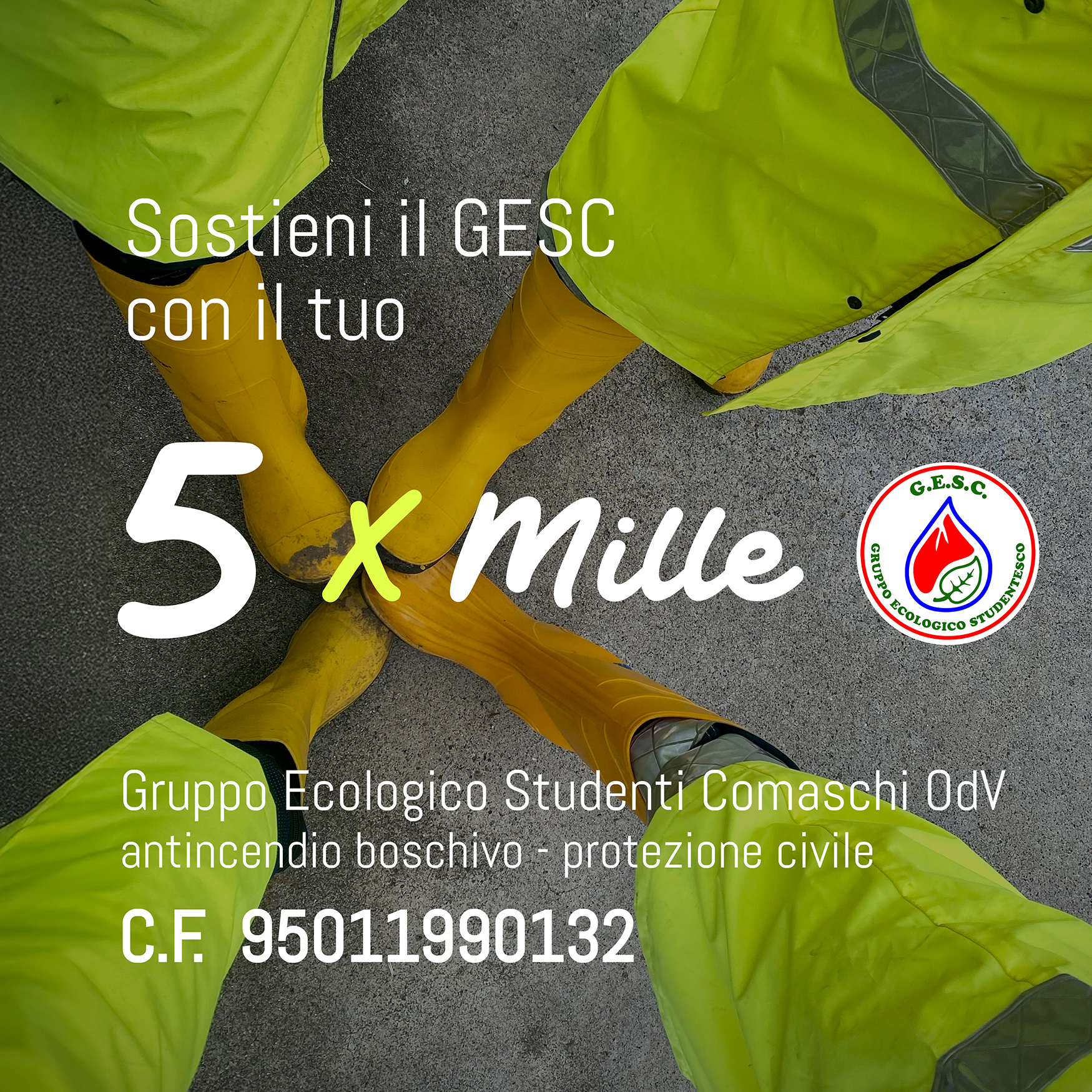 5x100 5x100